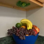 Discreet fruit fly trap