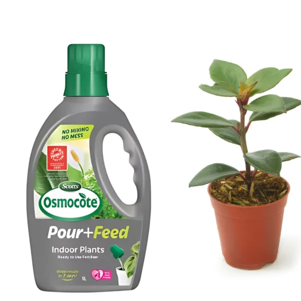 Osmocote Pour & Feed Ready-to-Use Fertiliser for Houseplants