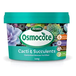 Front view of Osmocote Cacti & Succulent Controlled Release Fertiliser 500g tub on white background
