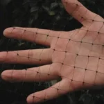 Anti Bird Netting 15x15mm - Professional Bird Control Mesh Anti Bird Netting 15x15mm mesh pattern demonstrated on hand showing perfect size for pest bird control
