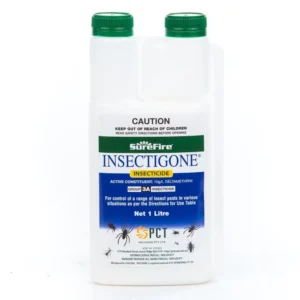 Insectigone Residual Insecticide bottle front view on white background