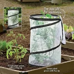 Pop Up Tomato Plant Protector