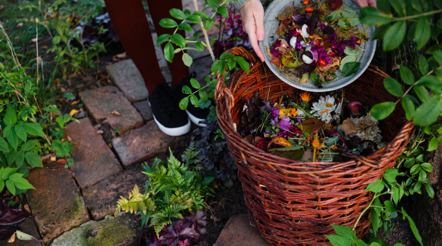 Composting in Simple steps