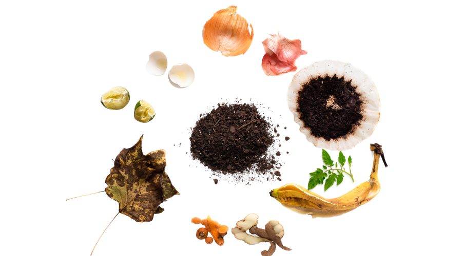 Best Ingredients for composting