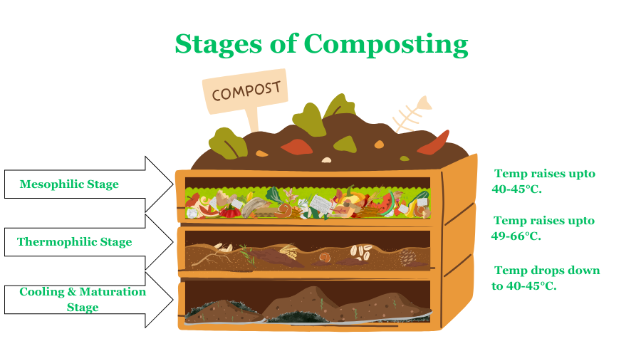 Stages of composting process