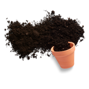 Potting mix in Australia