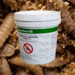 Alodex Fly Larvicide – Powerful solution for fly control in poultry and livestock areas.