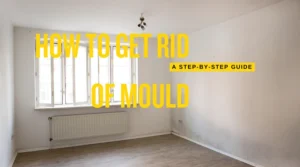 A step-by-step guide illustration demonstrating how to get rid of mould, with visual instructions for each stage of the cleaning process.