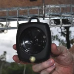 Toadinator Toad Kit for safe and effective cane toad control.