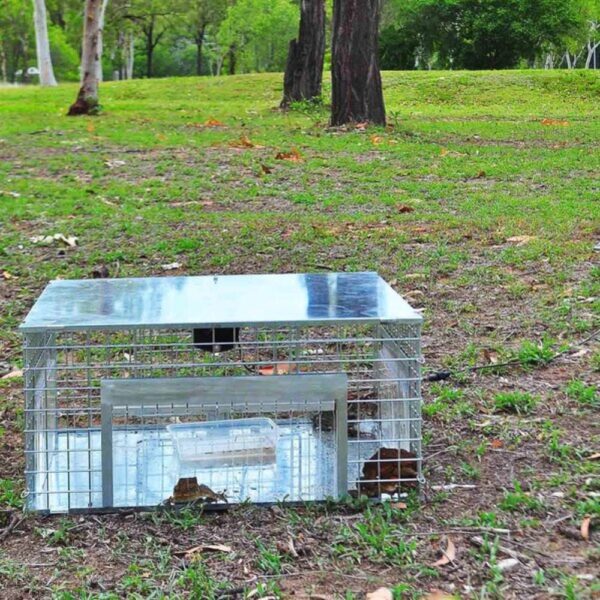 Close up of toad trap one-way finger doors that allow cane toads to enter, but not exit the trap.