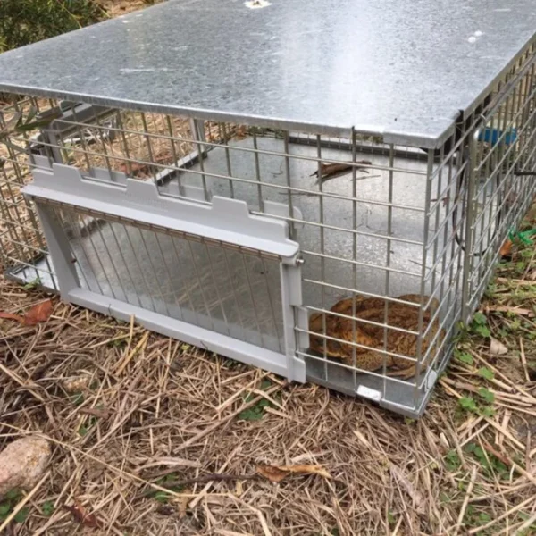 Assembled Toadinator trap, featuring one-way finger doors, solar panel, and sound attractor.