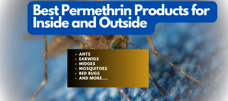best permethrin products showing mosquito and insect list for pest control indoors and outdoors.
