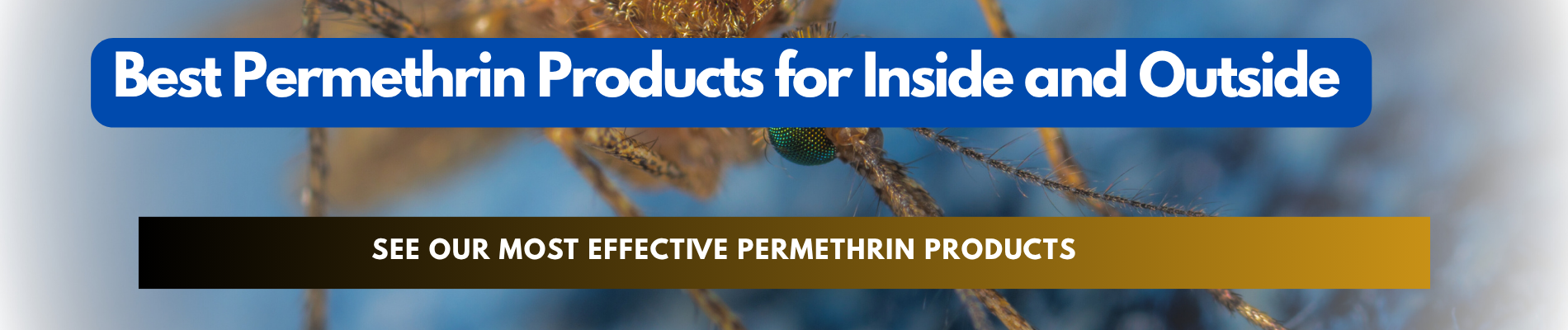 Best Permethrin Products