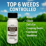 Bow and Arrow Herbicide controls bindii, clover, cat’s ear, creeping oxalis, capeweed, and dandelion in lawns