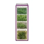 Right view of Coliseum Herbicide 25g packaging showing visual results on treated grass types.