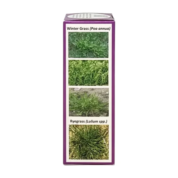 Right view of Coliseum Herbicide 25g packaging showing visual results on treated grass types.