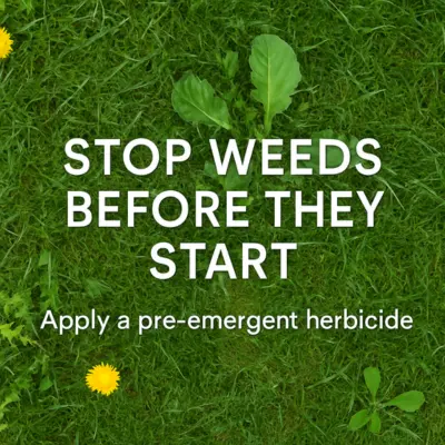 Stop Weeds Before They Start – Pre-Emergent Herbicide Guide Illustration of lawn with emerging weeds and message: Stop Weeds Before They Start – Apply a pre-emergent herbicide.