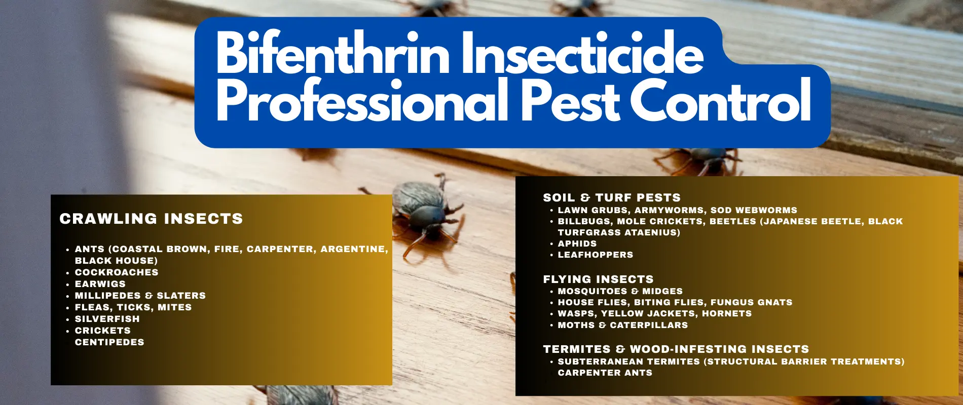 Top Bifenthrin Pest Control Products – Professional Insecticide Range Top Bifenthrin Insecticide Products – Kills Ants, Termites, Mosquitoes & Lawn Pests
