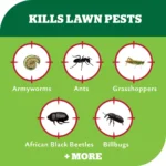 Yates Advanced for Lawns - 200mL image showcasing target pests including armyworms, ants, grasshoppers, African black beetles, billbugs and more.