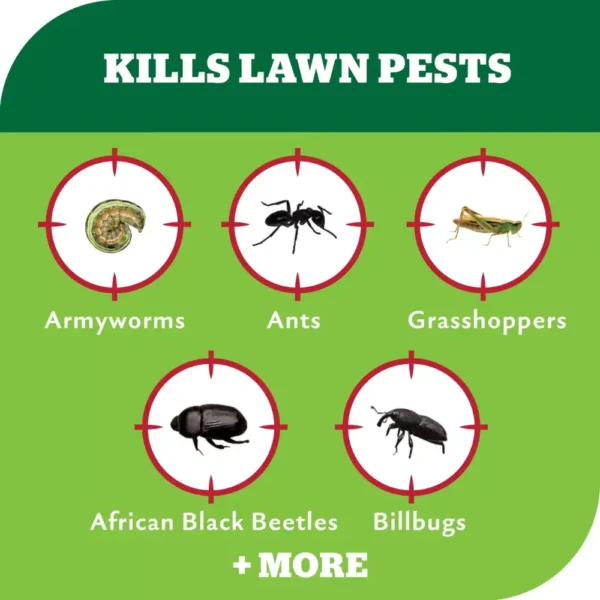 Yates Advanced for Lawns - 200mL image showcasing target pests including armyworms, ants, grasshoppers, African black beetles, billbugs and more.