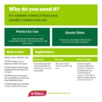 Infographic showing how to use Yates Fungus Gun RTU for controlling fungal diseases on roses and ornamentals.