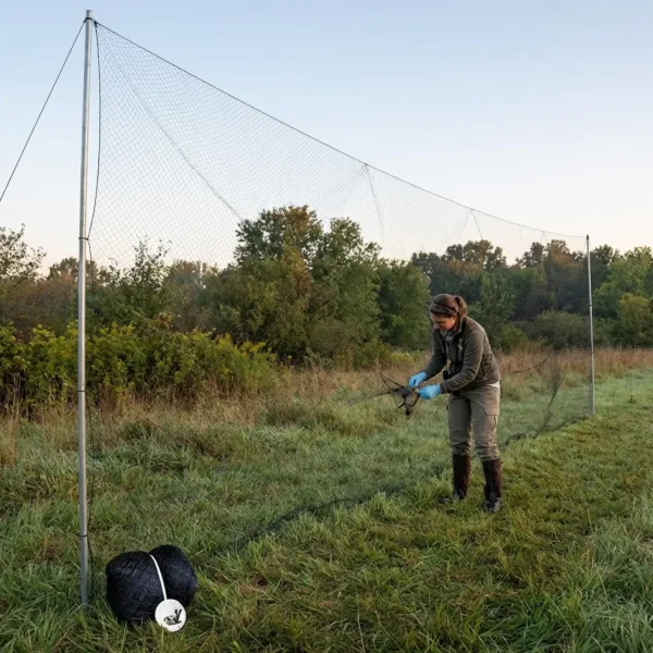 Humane Bird Mist Net - Pestrol Australia - Bird Removal