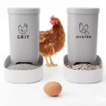 Pestrol Chicken Grit and Oyster Shell Feeder 2 Pack – ABS plastic wall-mount feeders for backyard poultry